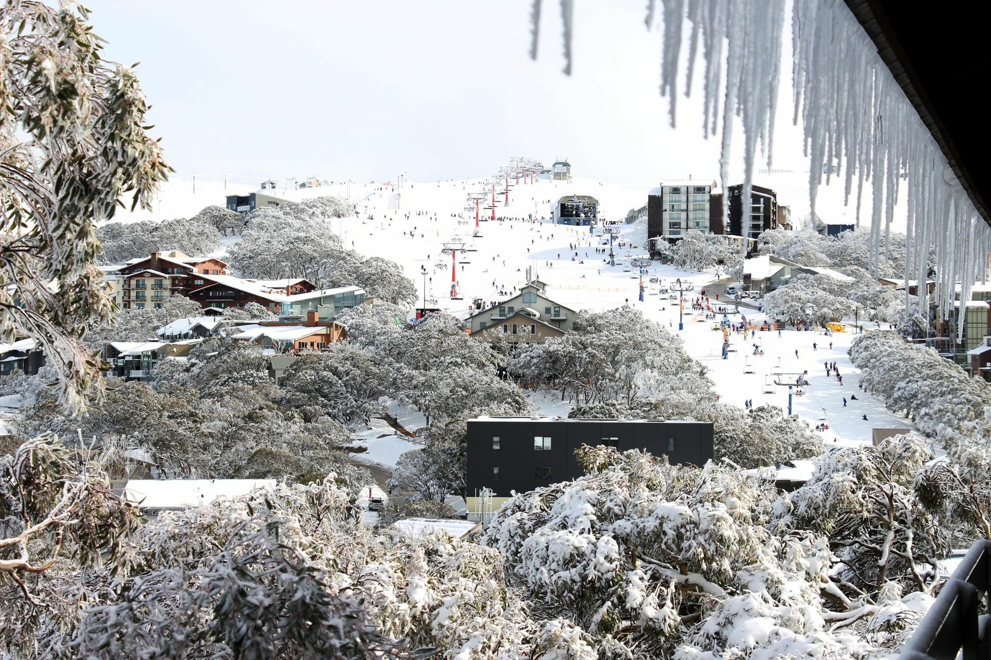 Alpine Retreat Mt Buller Hotell Mount Buller Exteriör bild